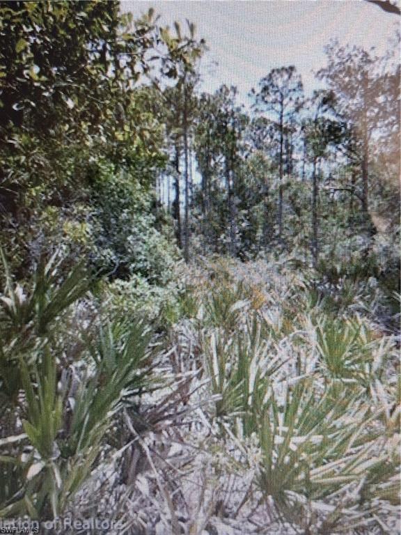 3010 Brownwood Dr Property Photo 1