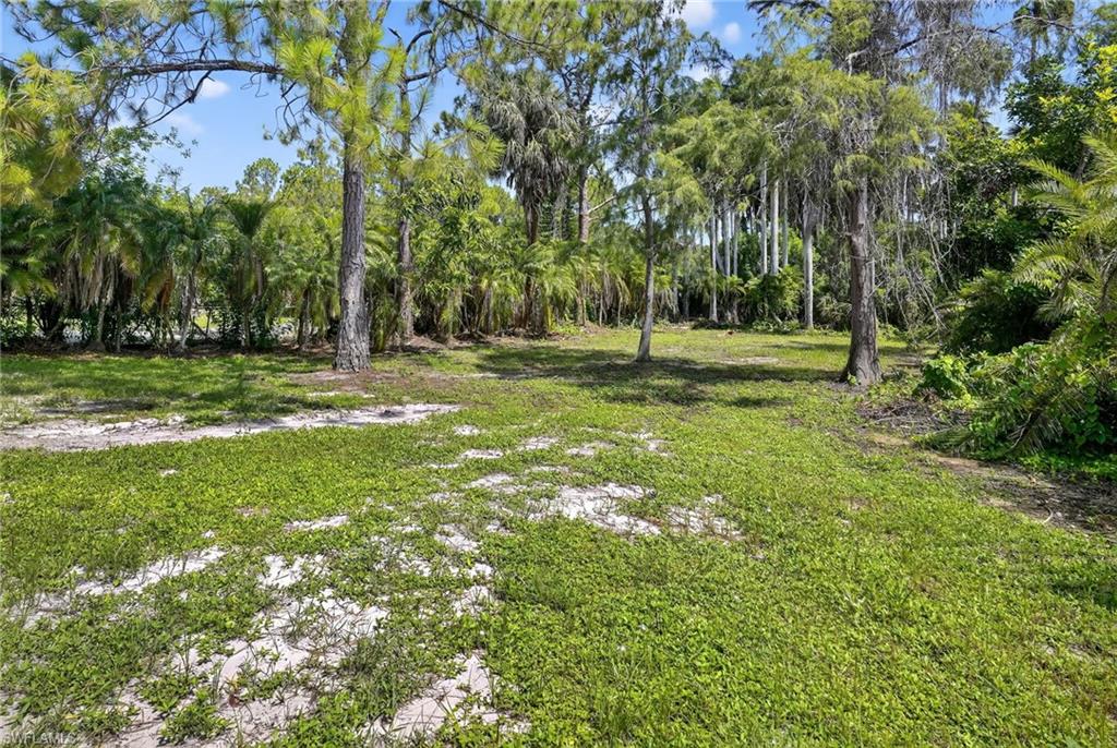6035 Painted Leaf Ln Property Photo 25