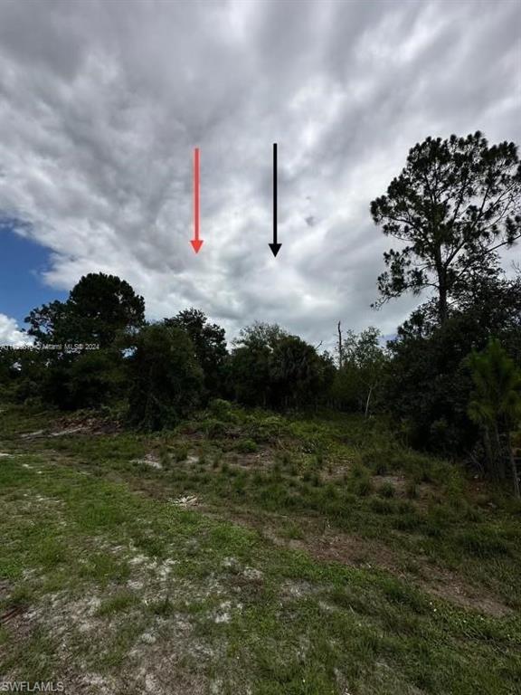 685 N Cabbage Palm St Property Photo 4