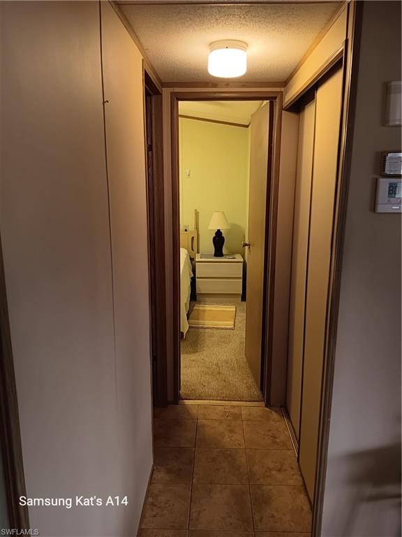 10750 Wales Loop Property Photo 12