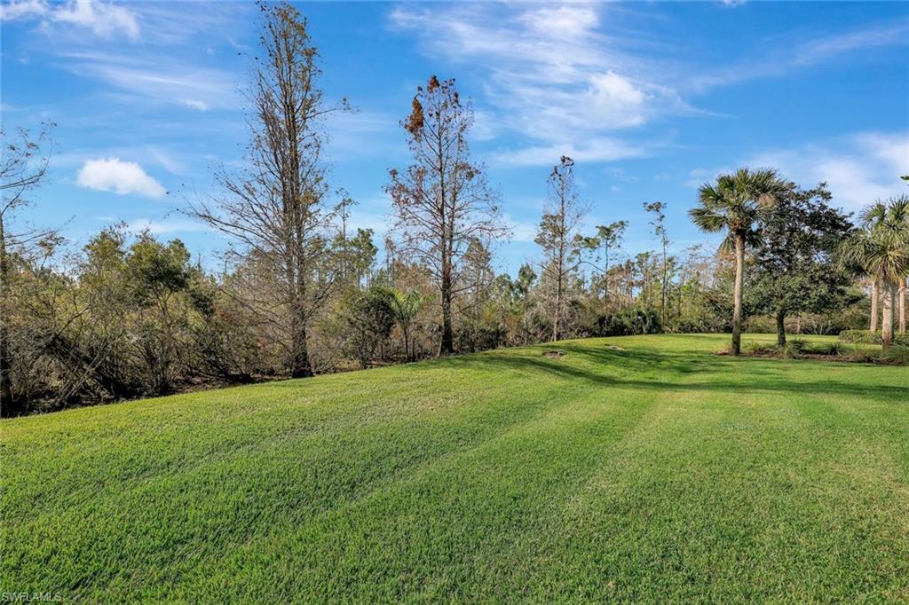 19681 Marino Lake Cir # 1502 Property Photo 25