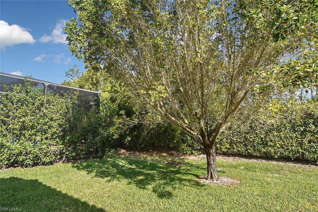 23124 Sanabria Loop Property Photo 42
