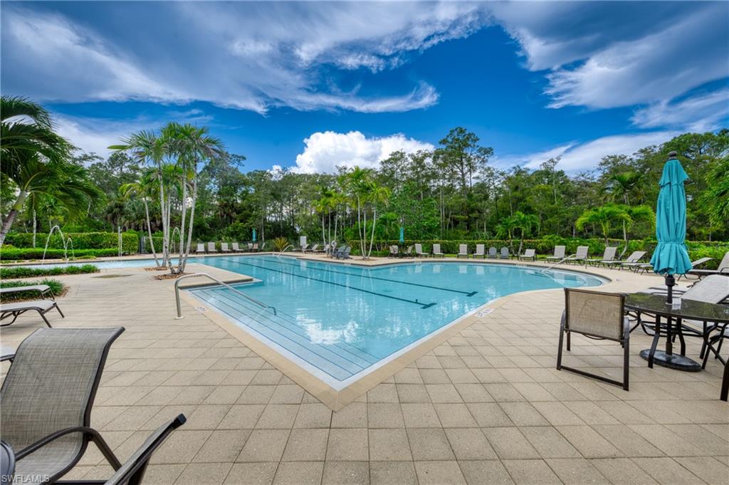 4228 Raffia Palm Cir Property Photo 42