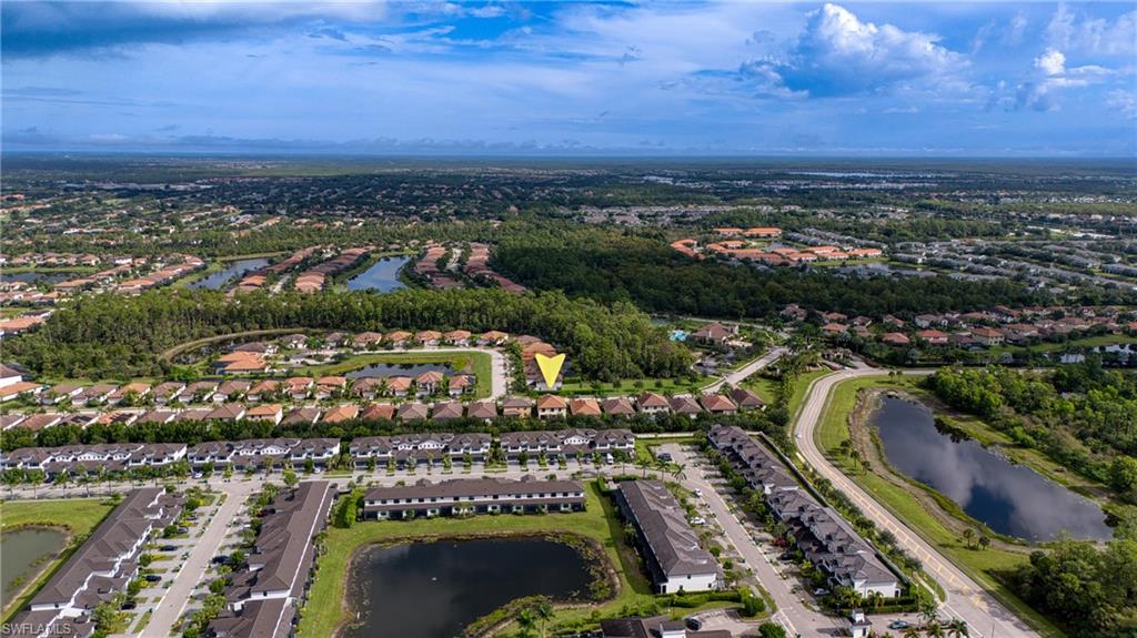 4228 Raffia Palm Cir Property Photo 48