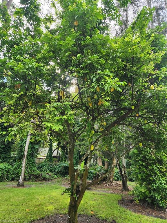 5930 Spanish Oaks Ln Property Photo 34