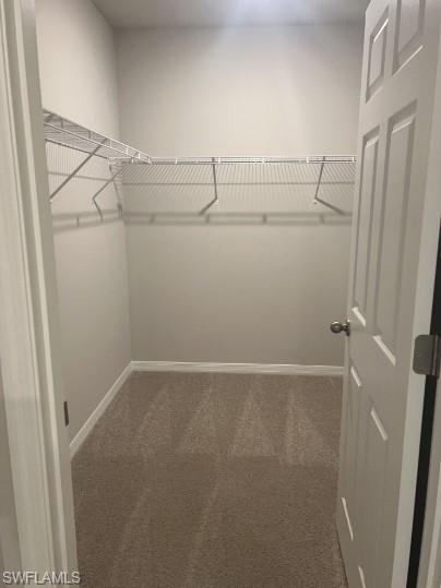 16629 Elkhorn Coral Dr Property Photo 12