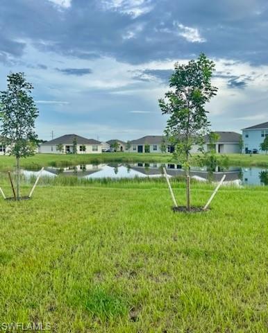 16629 Elkhorn Coral Dr Property Photo 25