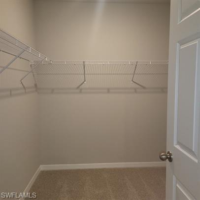 16629 Elkhorn Coral Dr Property Photo 26