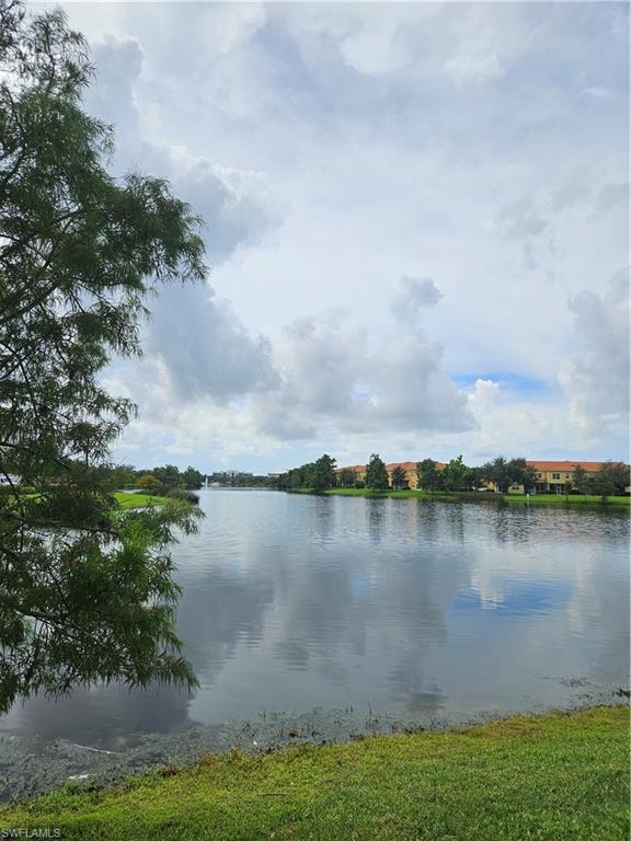 9807 Solera Cove Pointe # 103 Property Photo 35