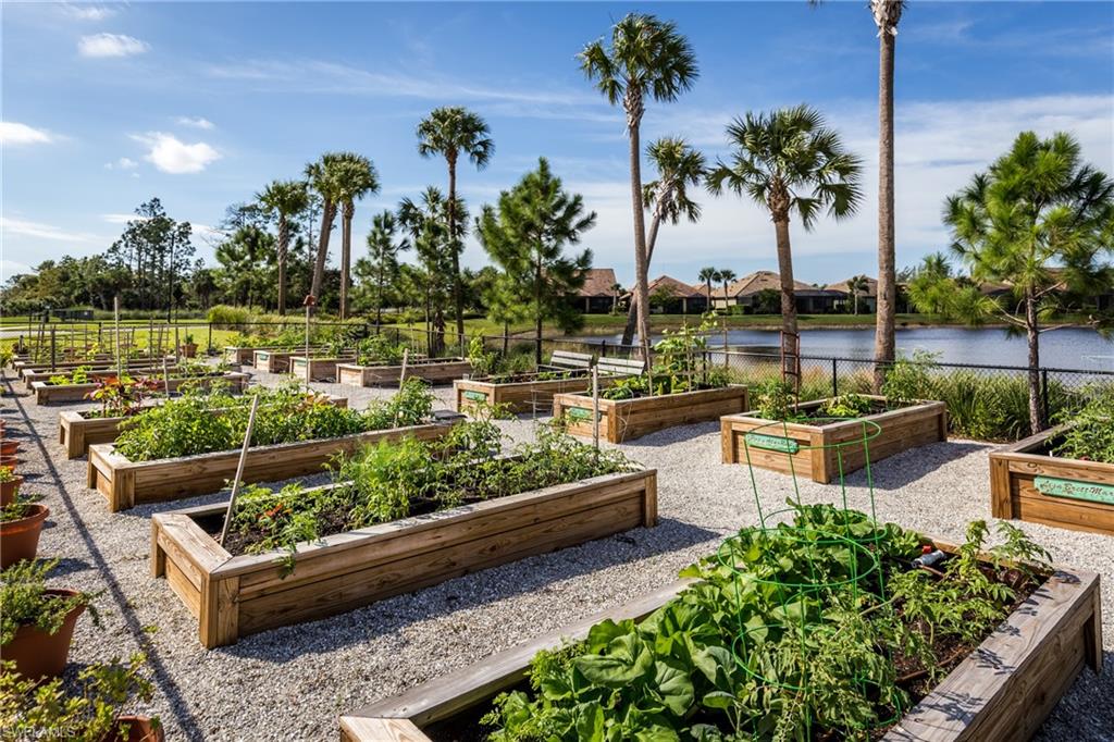 6856 Winding Cypress Dr Property Photo 41