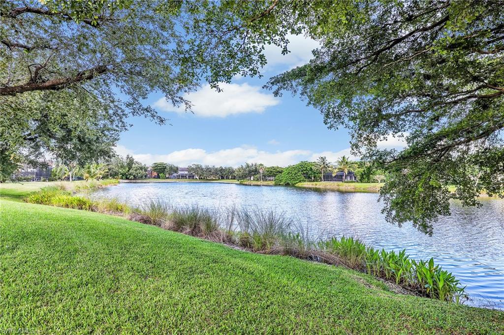 14611 Indigo Lakes Cir Property Photo 22