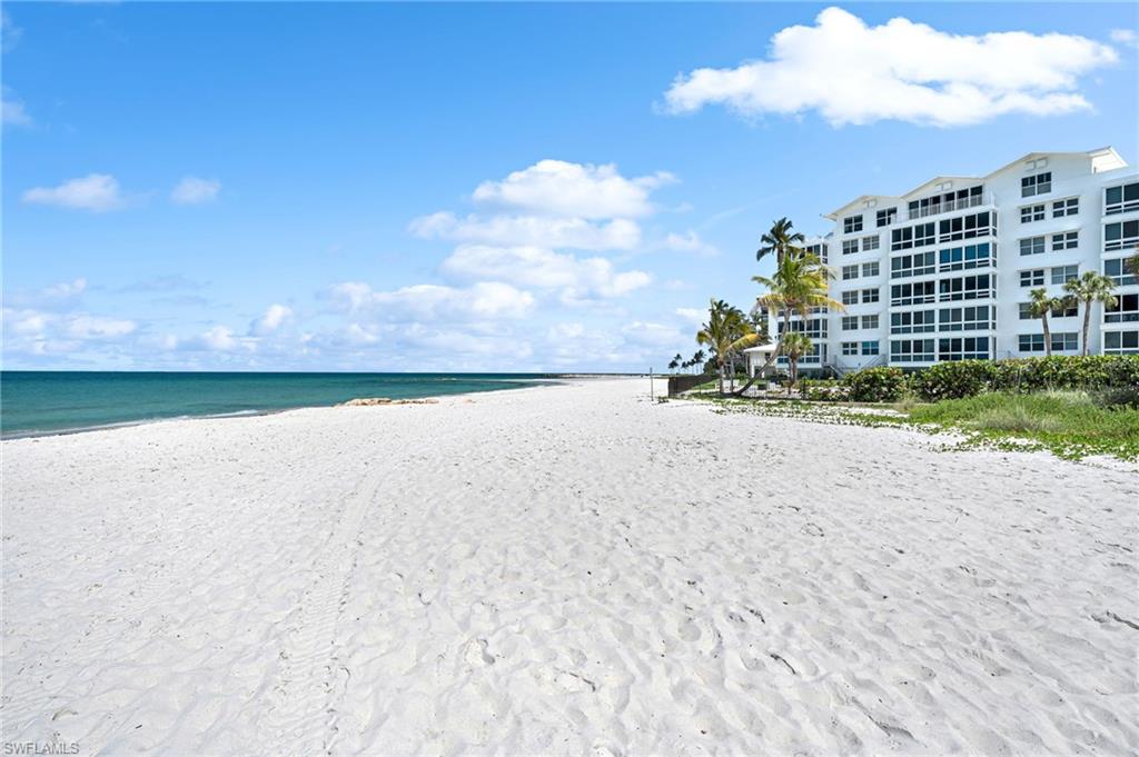 2121 Gulf Shore Blvd N 206 Property Photo 20
