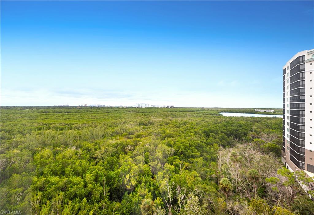 455 Cove Tower Dr 1101 Property Photo 30