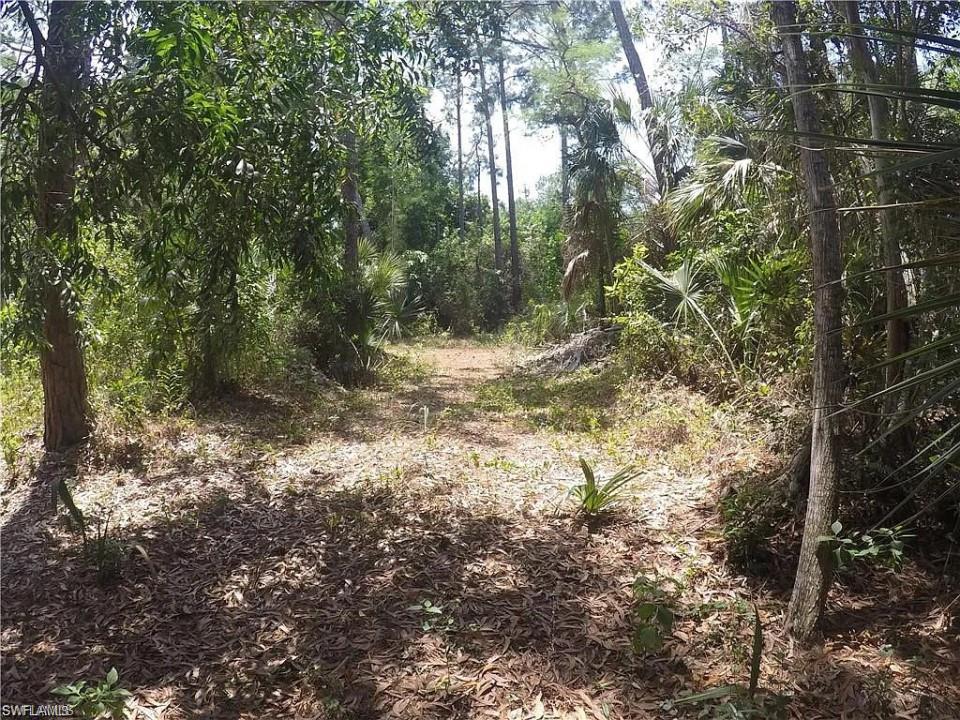 5700 Cedar Tree Ln Property Photo 5
