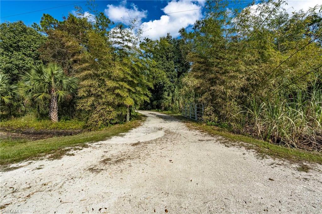 1065 Sanctuary Rd Property Photo 17
