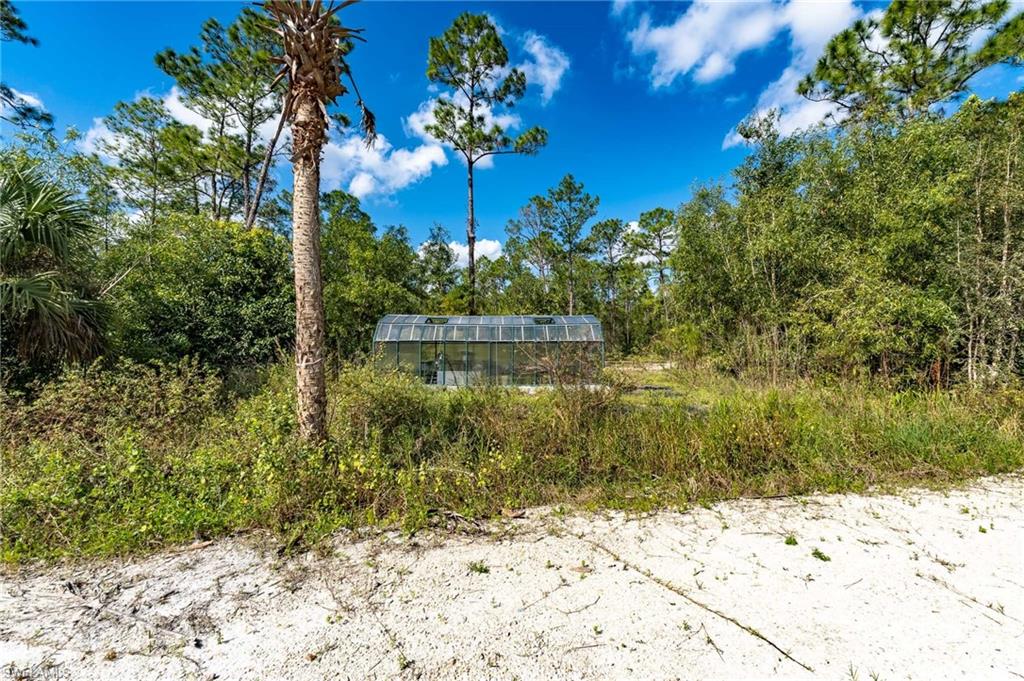 1065 Sanctuary Rd Property Photo 23