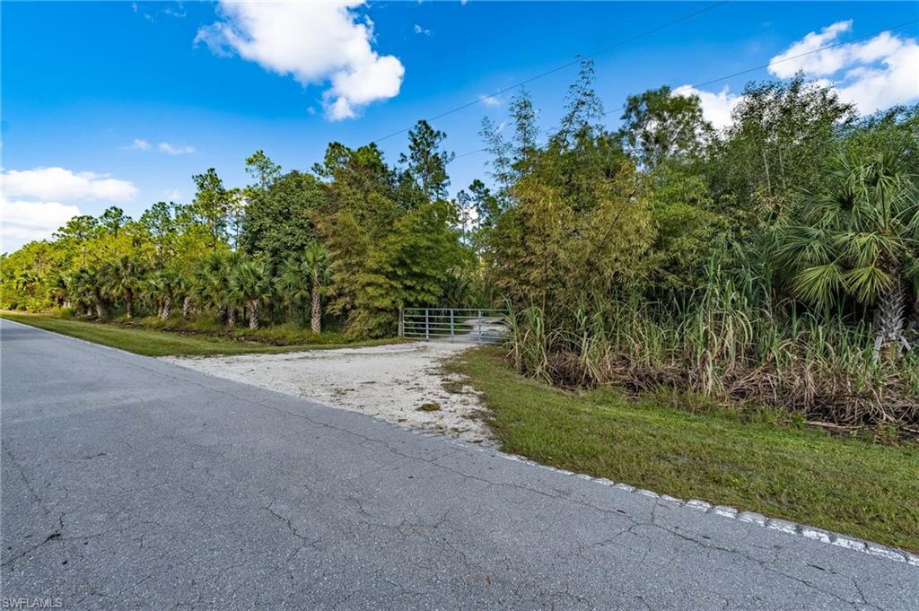 1065 Sanctuary Rd Property Photo 31