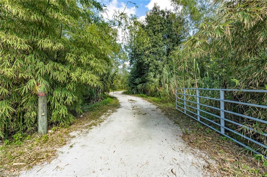 1065 Sanctuary RD Property Photo 1