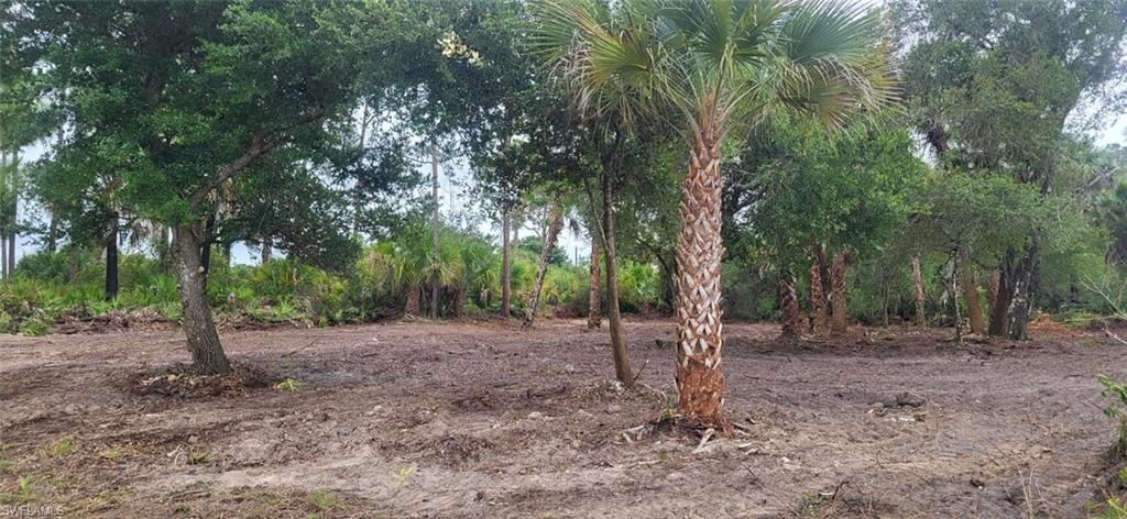 315 Ivanhoe Ave Banyan Village Property Photo 2