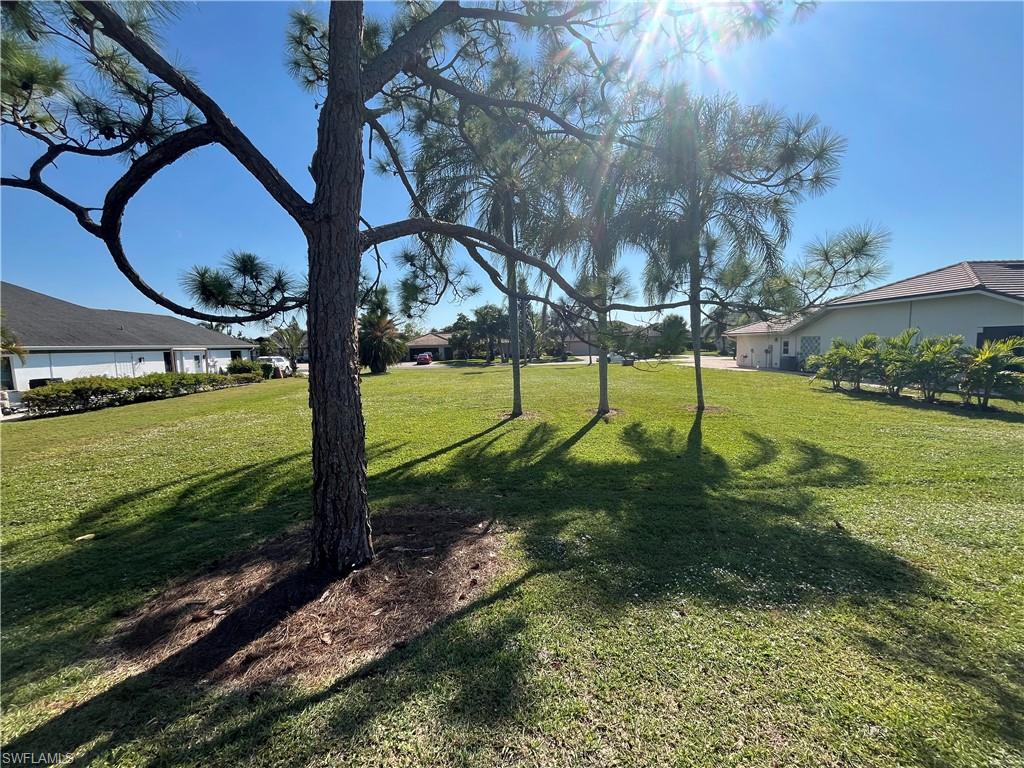 9954 Ortega Ln Property Photo 6