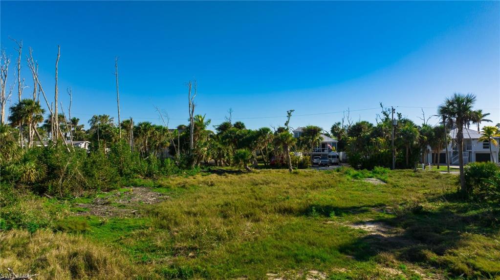 13350 Electron Dr Property Photo 8