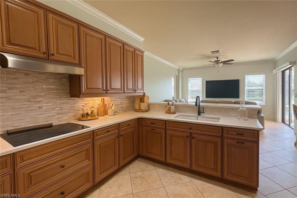 11275 Bluff Oak Ln Property Photo 4