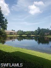 9621 Spanish Moss Way 3812 Property Photo 19