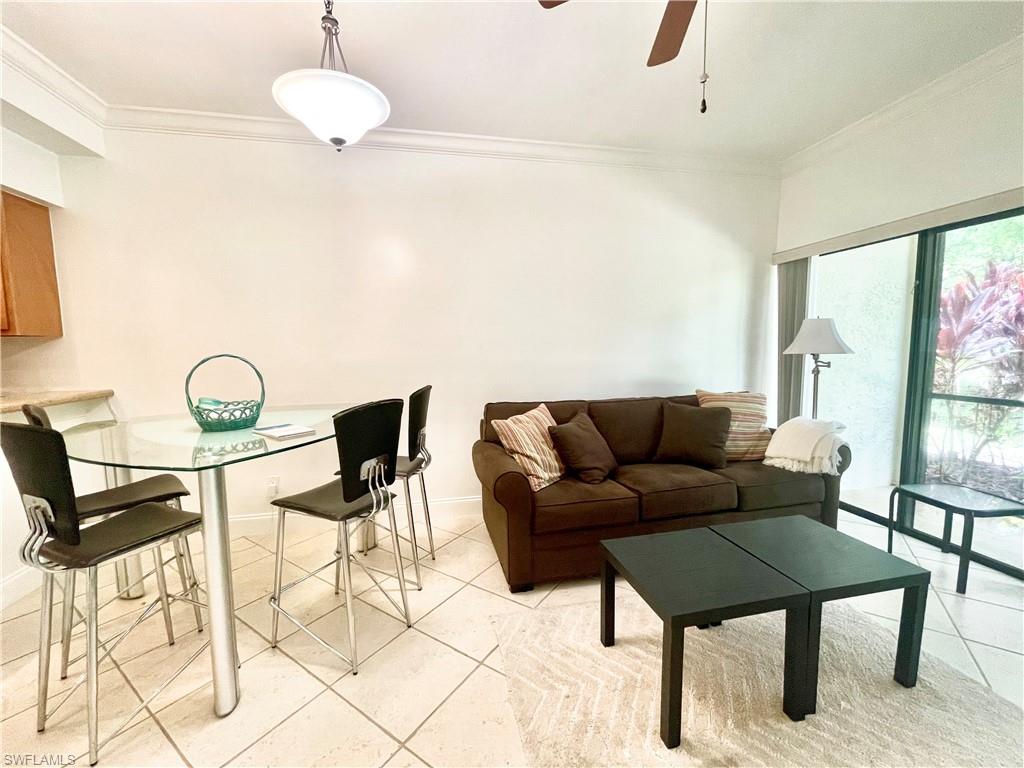 225084562 Property Photo 9