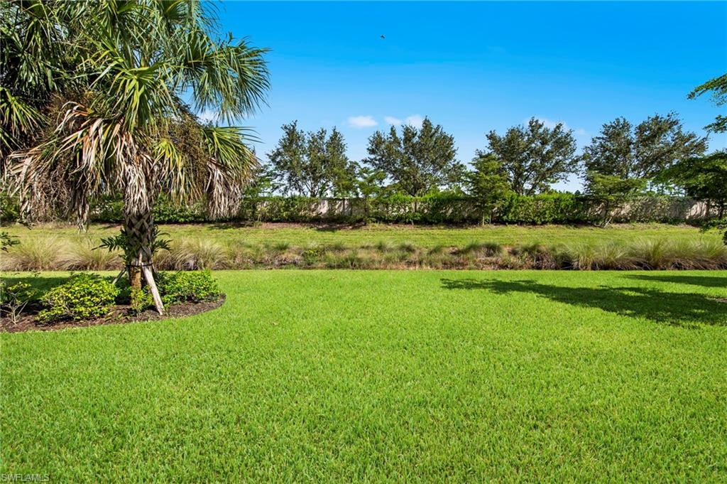 20976 Corkscrew Shores Blvd Property Photo 41