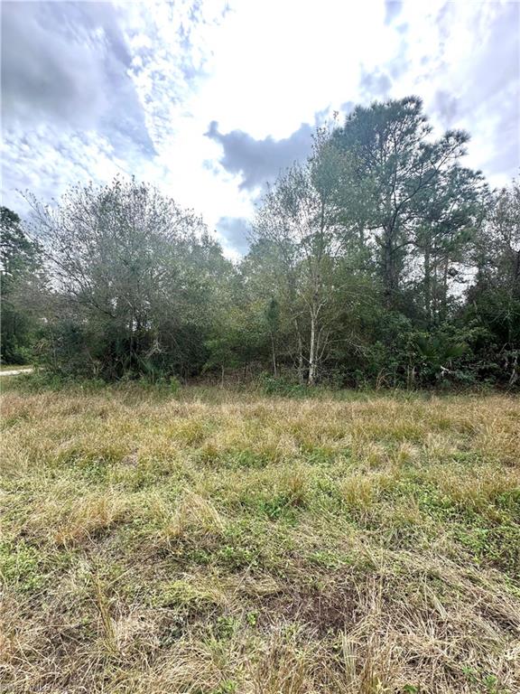 1226 Sunrise Blvd Property Photo 4