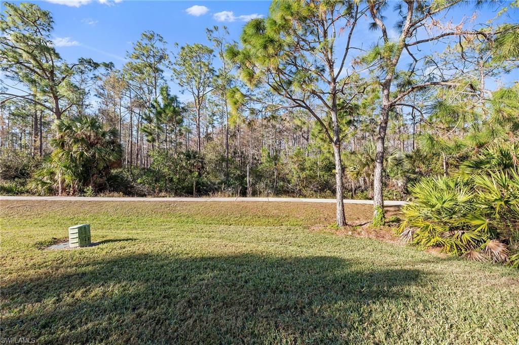 9996 Horse Creek Rd Property Photo 37