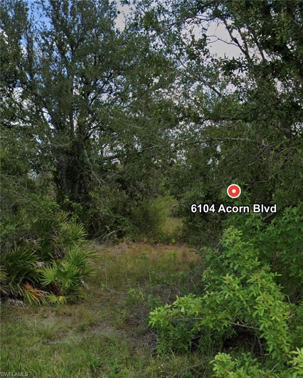 6104 Acorn Blvd Property Photo 4