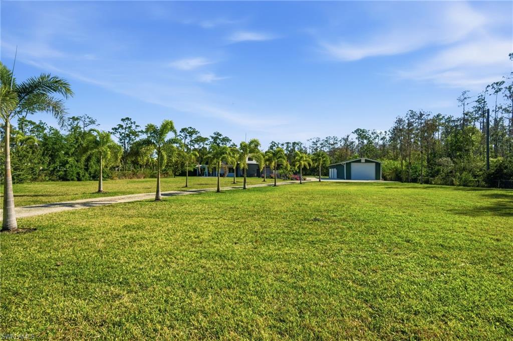 11661 Palomino Ln Property Photo 47