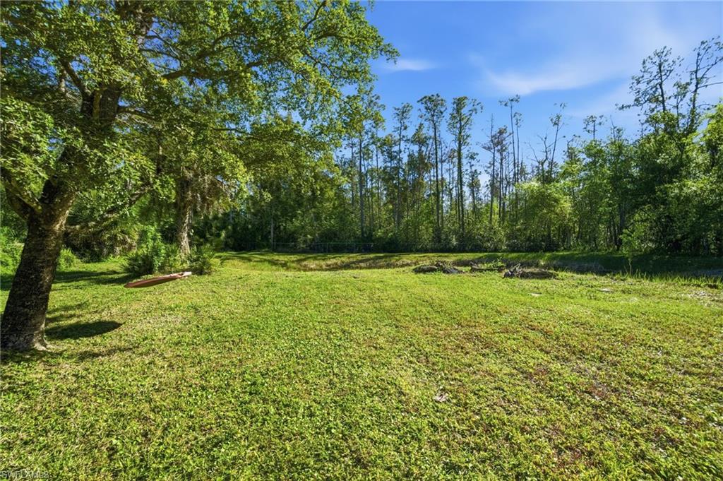 11661 Palomino Ln Property Photo 48