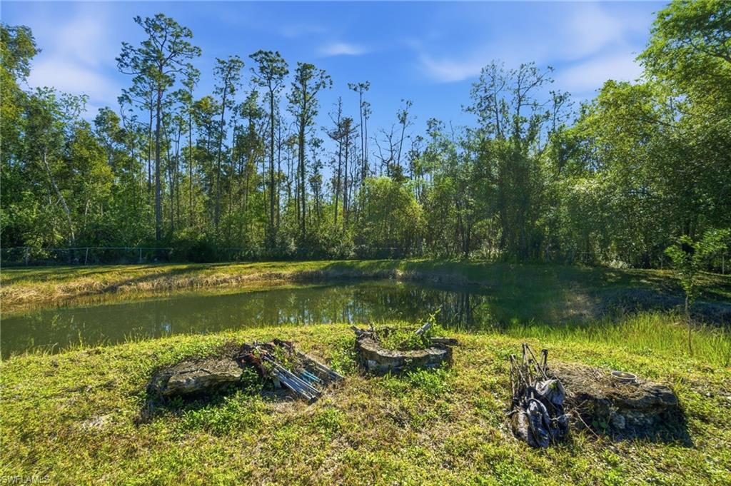 11661 Palomino Ln Property Photo 49
