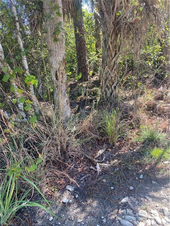 36th Ave Se Property Photo 3