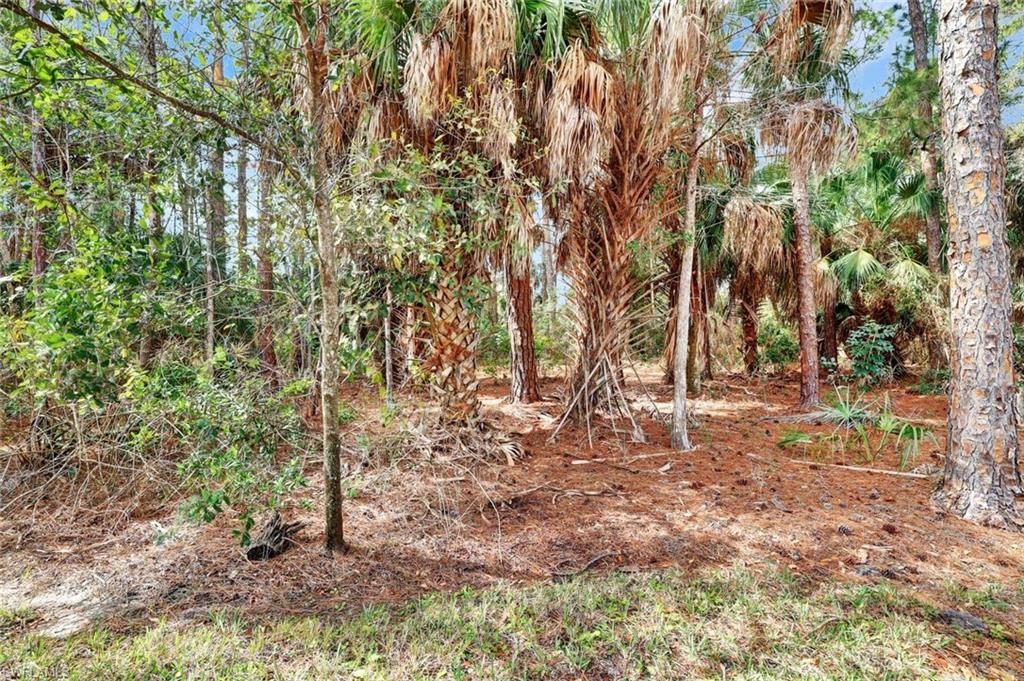 8206 Sanctuary Dr 1 Property Photo 23