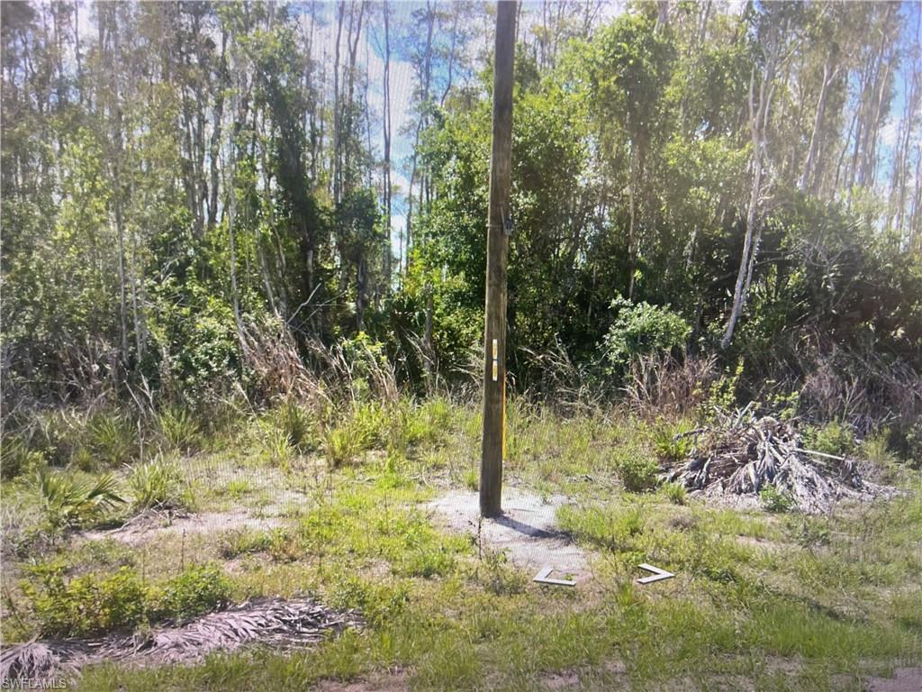 891 Yellowbird Dr Property Photo 2