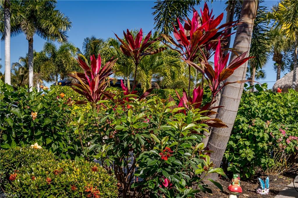 13583 Snook Cir Property Photo 18