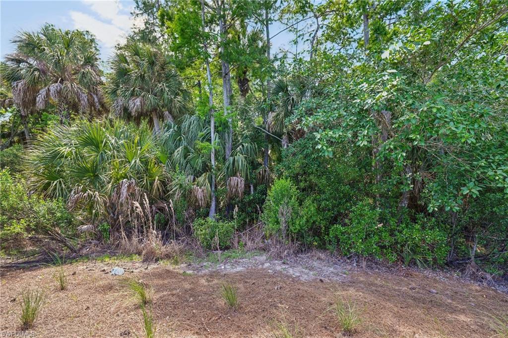 10395 Ventana Ln Property Photo 41