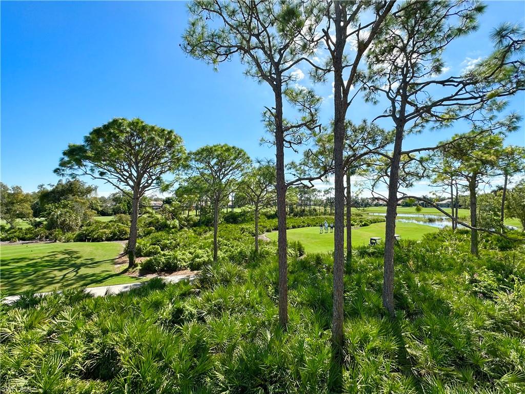 27121 Oakwood Lake Dr Property Photo 17
