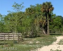 755 Rialto Pointe Dr Property Photo 4
