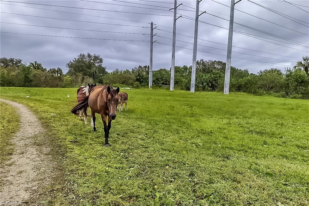 26118 Cutting Horse Ln Property Photo 7