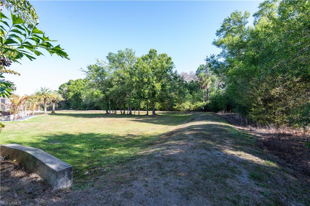 10267 Meadow Beauty Trl Property Photo 17