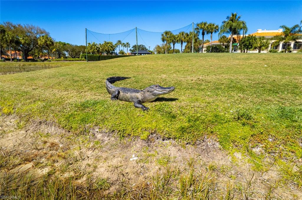 26483 Bonita Fairways Blvd Property Photo 43