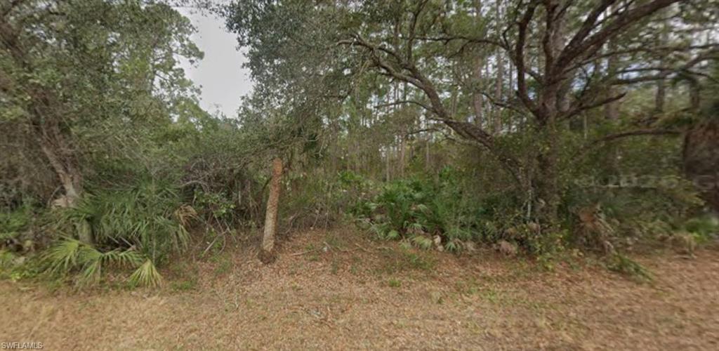 2004 Wells Ave Property Photo 4