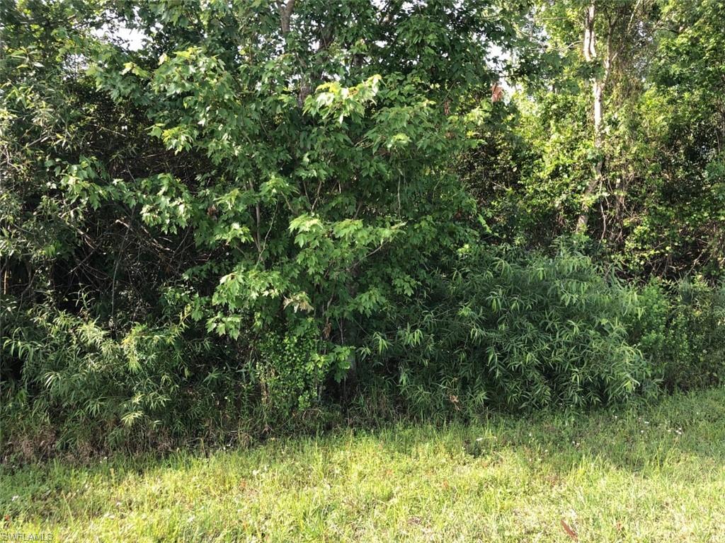 630 Shady Hollow Blvd W Property Photo 5