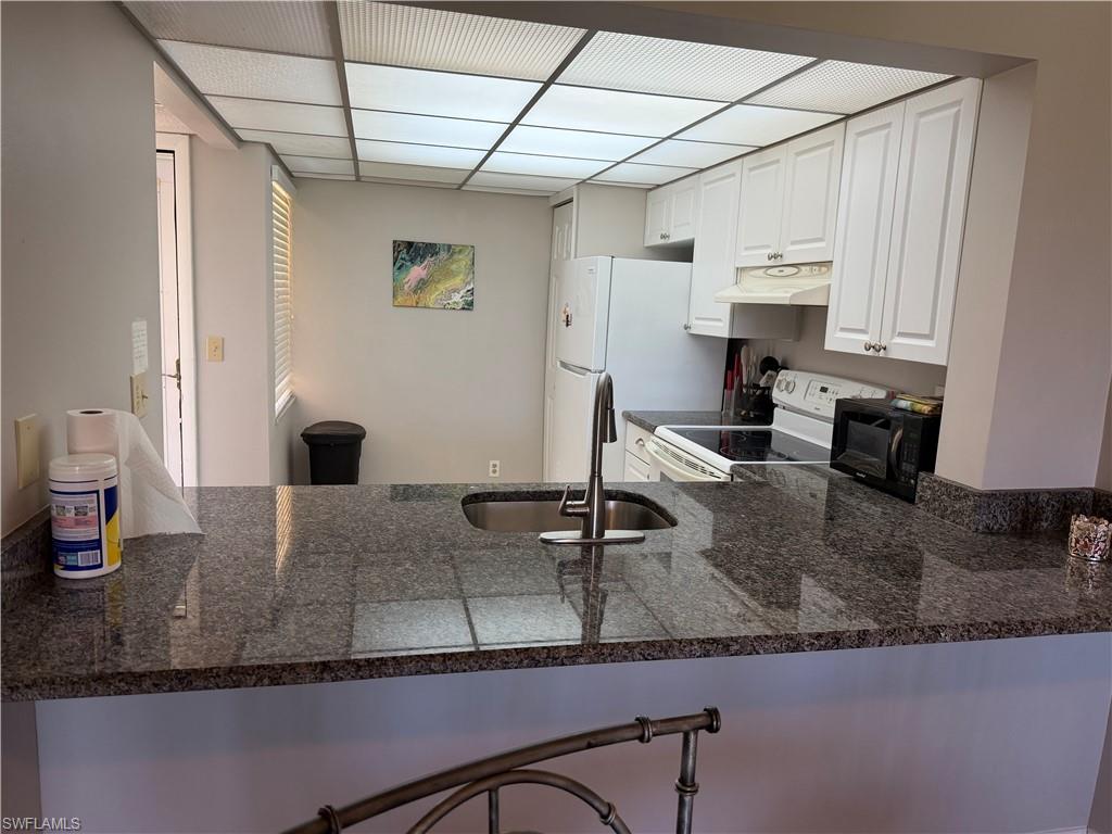 1085 Forest Lakes Dr 8106 Property Photo 5