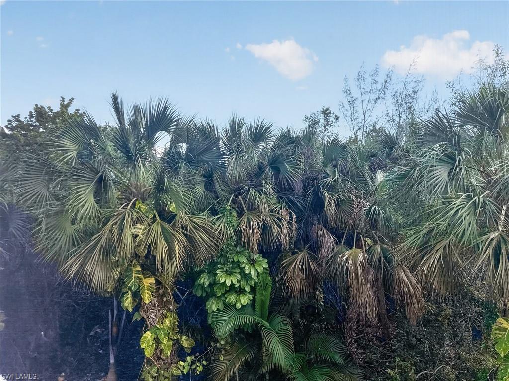 3041 Sandpiper Bay Cir H201 Property Photo 43