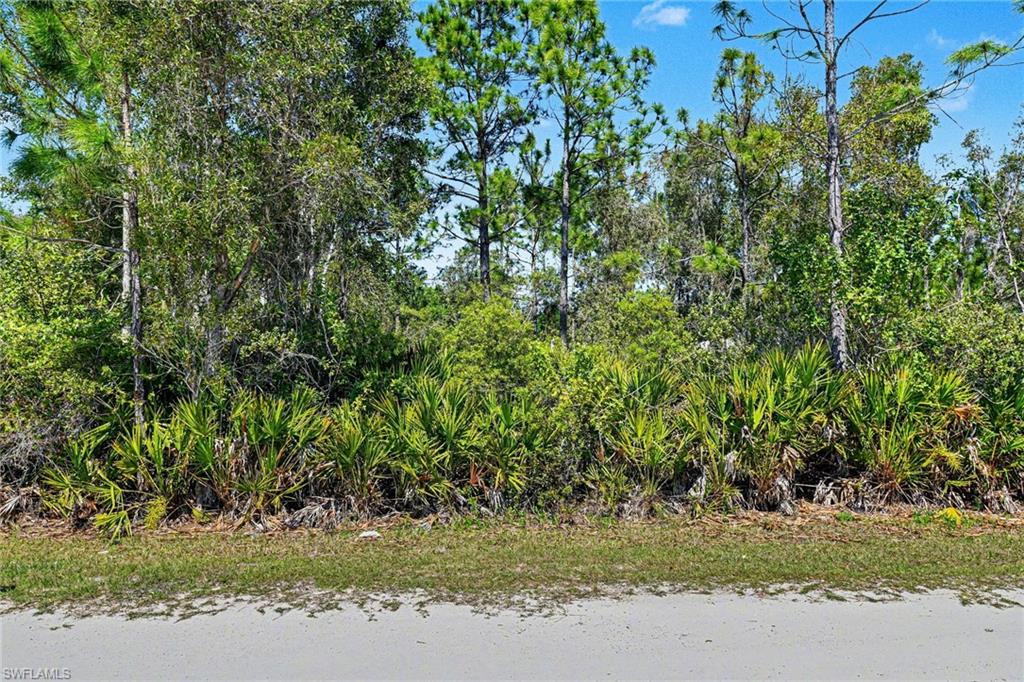 12097 Platano Dr Property Photo 1